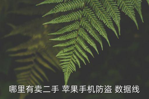 苹果数据线哪里可以买