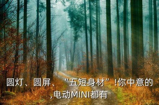 圆灯、圆屏、“五短身材”!你中意的,电动mini都有