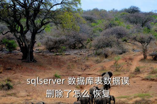 sqlserver 数据库表数据误删除了怎么 恢复