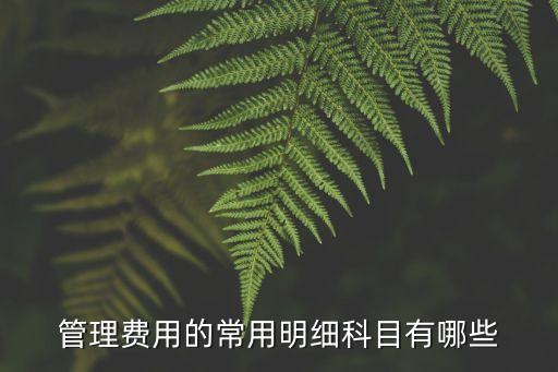 管理费用的常用明细科目有哪些