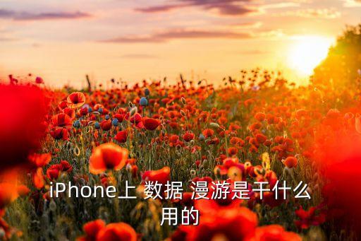 iphone上 数据 漫游是干什么用的