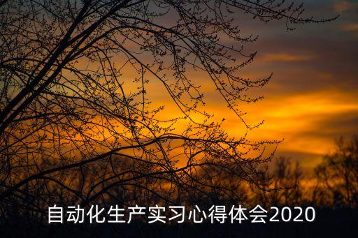  自动化生产实习心得体会2020