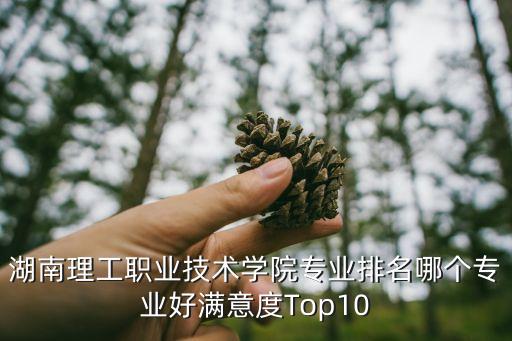 湖南理工职业技术学院专业排名哪个专业好满意度top10