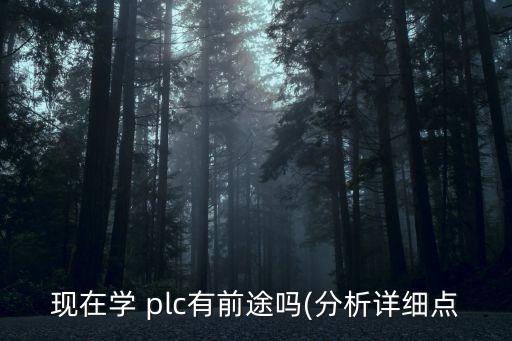 自动化专业去搞plc可以嘛