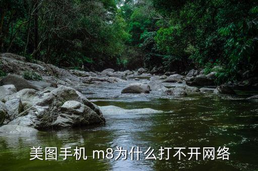  美图手机 m8为什么打不开网络