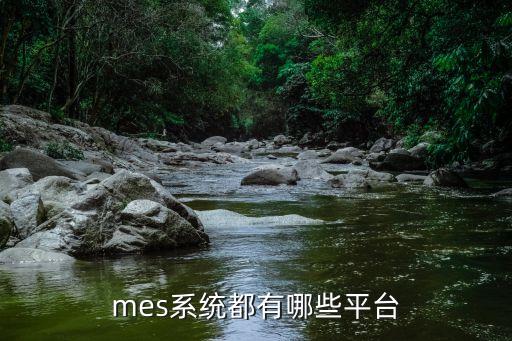 mes系统都有哪些平台