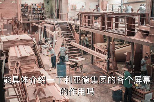 能具体介绍一下利亚德集团的各个屏幕的作用吗