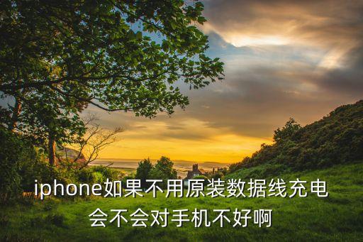 iphone如果不用原装数据线充电会不会对手机不好啊