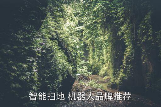 福玛特机器人评测