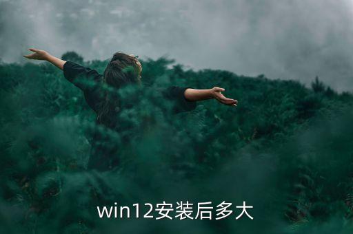 win12安装后多大