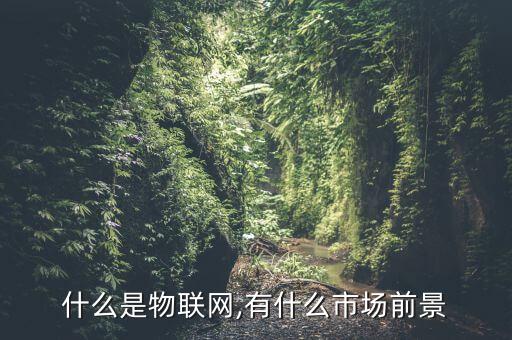 什么是物联网,有什么市场前景