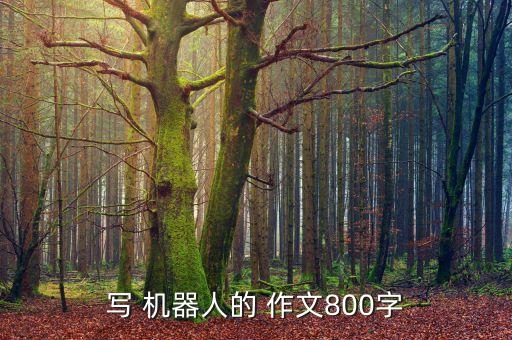 写 机器人的 作文800字