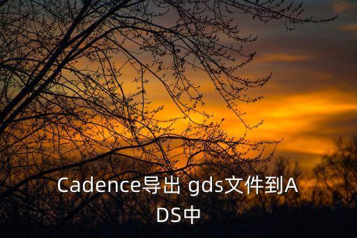 gds文件,导出gds文件到ads中需要注意什么?