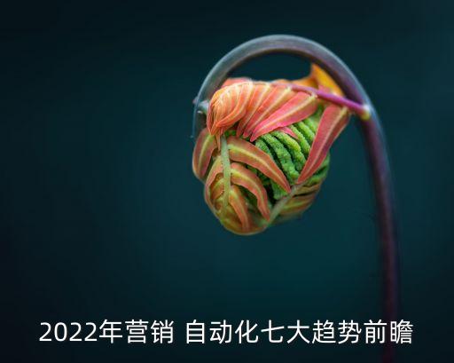 2022年营销 自动化七大趋势前瞻