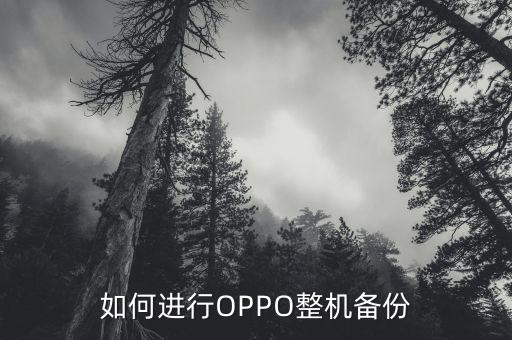 oppo如何备份手机数据,恢复出厂设置后怎么备份数据?