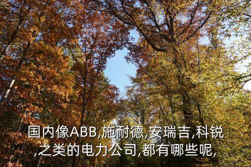 国内像abb,施耐德,安瑞吉,科锐,之类的电力公司,都有哪些呢,