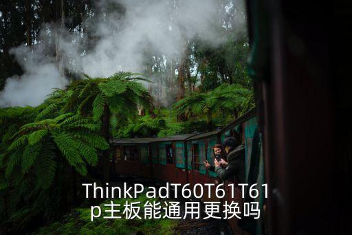 thinkpadt60t61t61p主板能通用更换吗