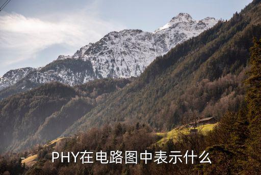  phy在电路图中表示什么