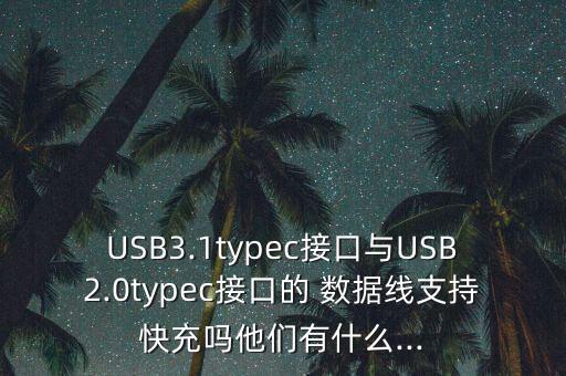 usb3.1typec接口与usb2.0typec接口的 数据线支持快充吗他们有什么...