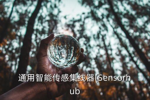 通用智能传感集线器(sensorhub