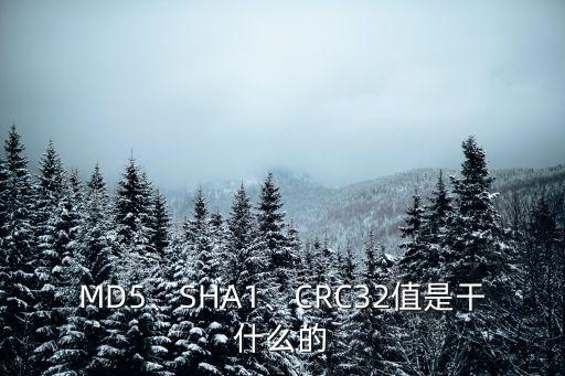 md5、sha1、crc32值是干什么的