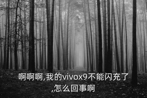 啊啊啊,我的vivox9不能闪充了,怎么回事啊