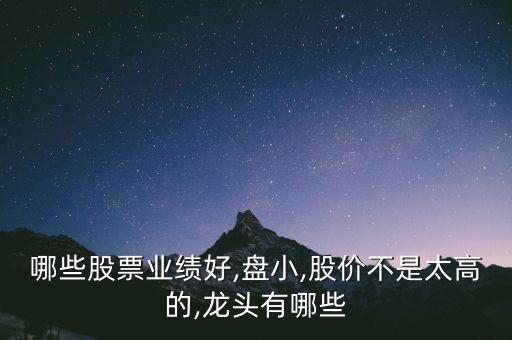 哪些股票业绩好,盘小,股价不是太高的,龙头有哪些