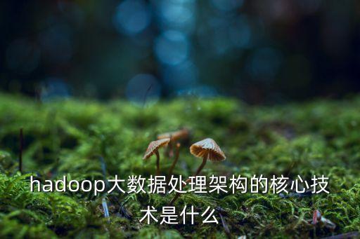 hadoop大数据处理架构的核心技术是什么