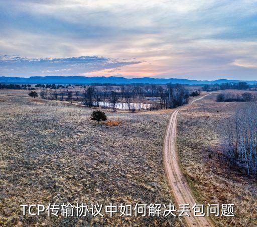 tcp传输协议中如何解决丢包问题