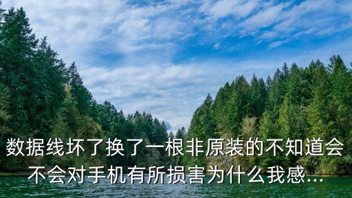 数据线坏了换了一根非原装的不知道会不会对手机有所损害为什么我感...