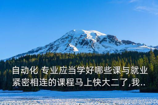  自动化 专业应当学好哪些课与就业紧密相连的课程马上快大二了,我...