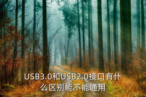 usb2.0数据线