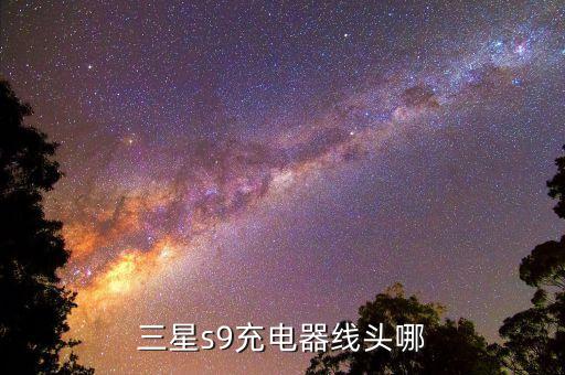 三星s9充电器线头哪