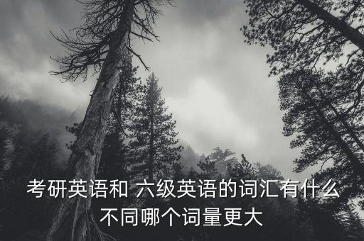  考研英语和 六级英语的词汇有什么不同哪个词量更大