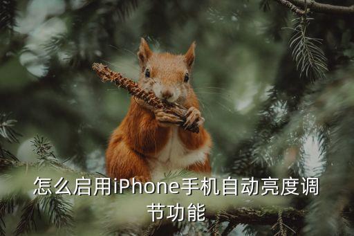 怎么启用iphone手机自动亮度调节功能