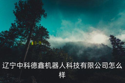 辽宁中科德鑫机器人科技有限公司怎么样