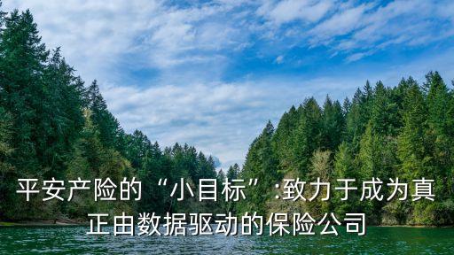 平安产险的“小目标”:致力于成为真正由数据驱动的保险公司