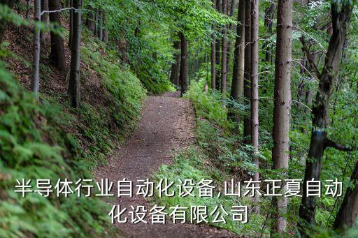 山东半导体行业自动化设备,山东正夏自动化设备有限公司