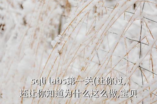 sqli labs第一关(让你过,还让你知道为什么这么做,宝贝