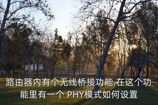 路由器内有个无线桥接功能,在这个功能里有一个 phy模式如何设置