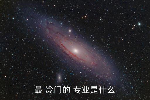 最 冷门的 专业是什么