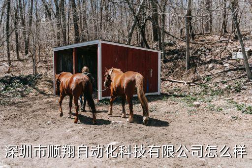 深圳市顺翔自动化科技有限公司怎么样