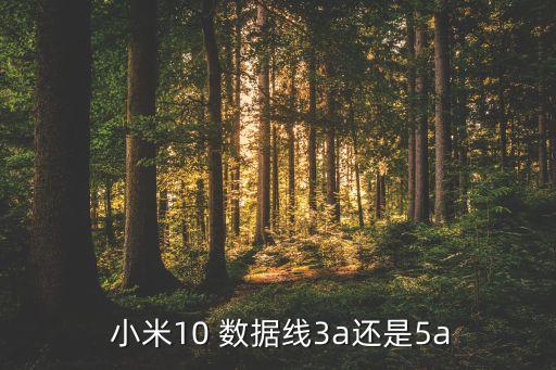  小米10 数据线3a还是5a