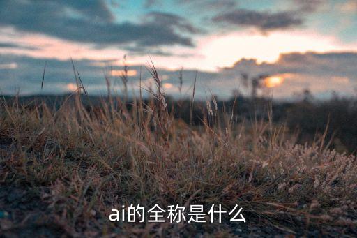 ai的全称是什么