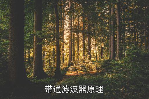 带通滤波器原理