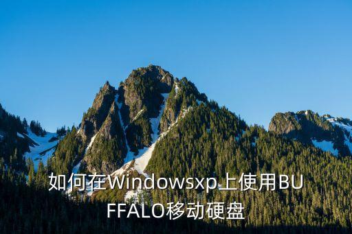 如何在windowsxp上使用buffalo移动硬盘