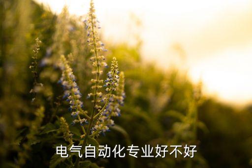 学习电气自动化的初衷,学电气自动化技术有前途吗?