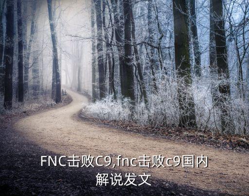 fnc击败c9,fnc击败c9国内解说发文