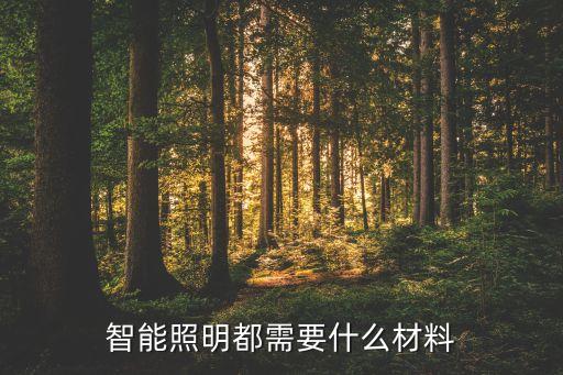 保暖照明自动化设备,建威智能照明控制器怎么样?