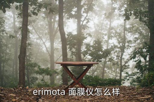 erimota 面膜仪怎么样